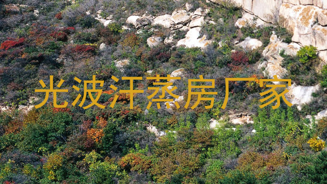 光波汗蒸房厂家