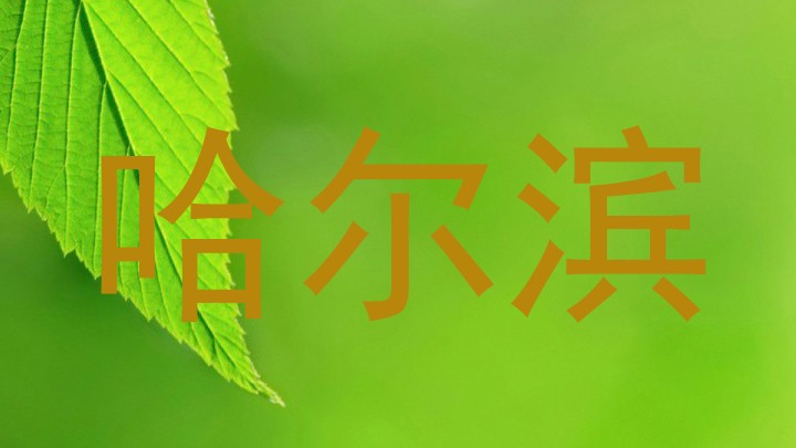 哈尔滨