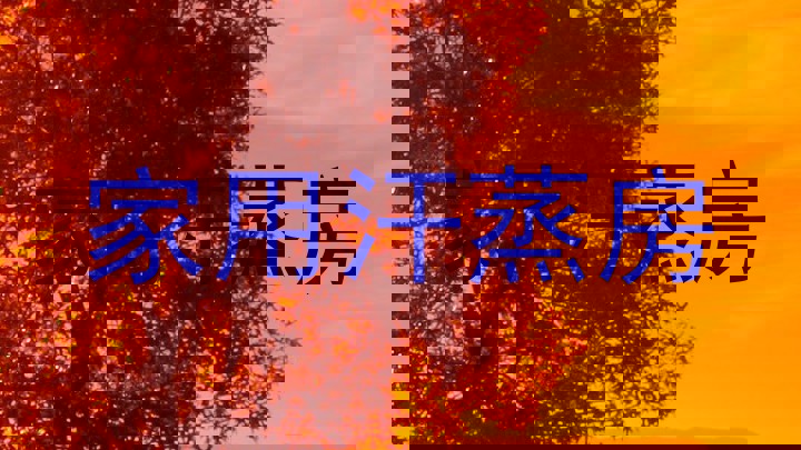 家用汗蒸房