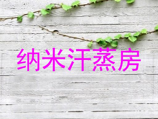 纳米汗蒸房