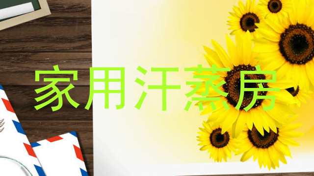 家用汗蒸房