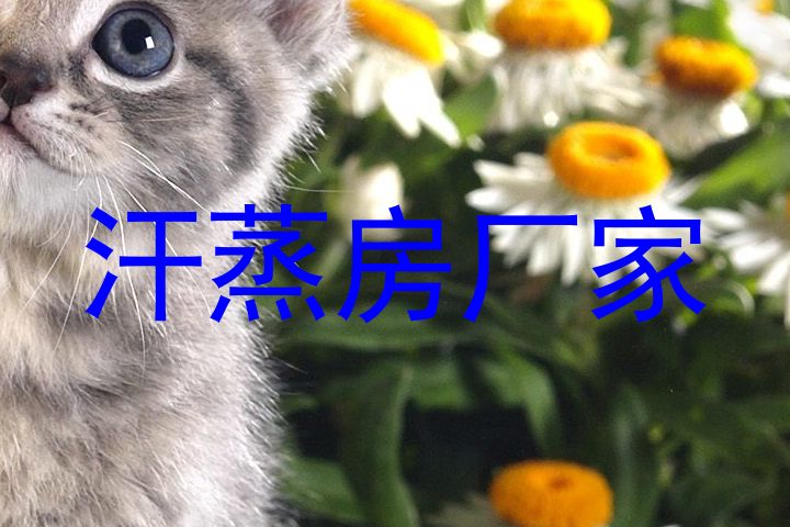 汗蒸房厂家