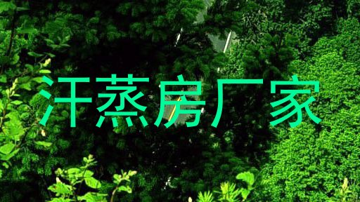 汗蒸房厂家