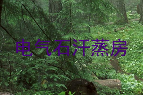 电气石汗蒸房