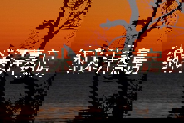 纳米汗蒸房
