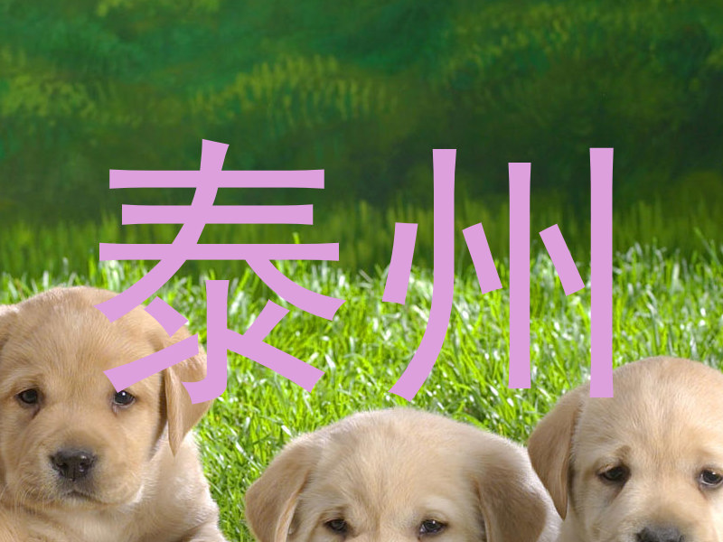 泰州