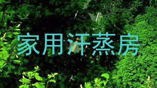 家用汗蒸房