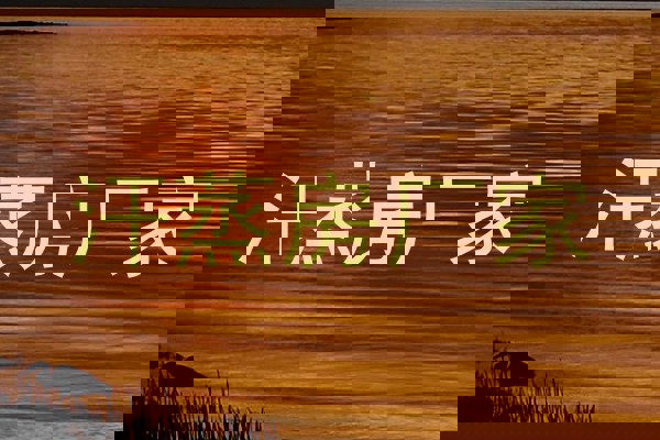 汗蒸房厂家
