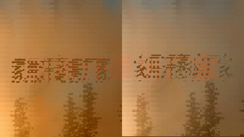 家用汗蒸房厂家