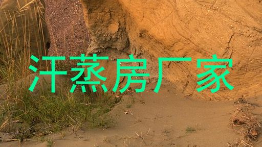 汗蒸房厂家