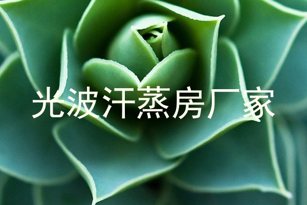 光波汗蒸房厂家