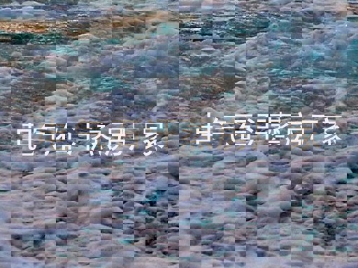 电气石汗蒸房厂家