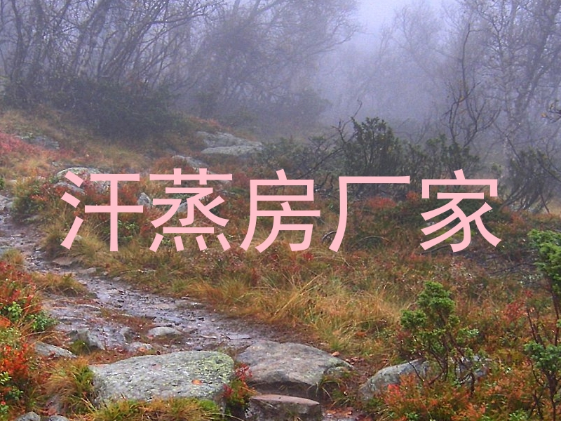 汗蒸房厂家
