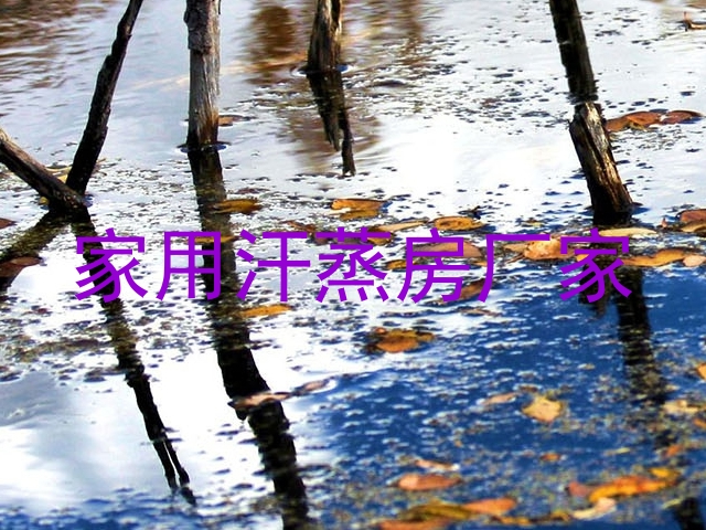 家用汗蒸房厂家