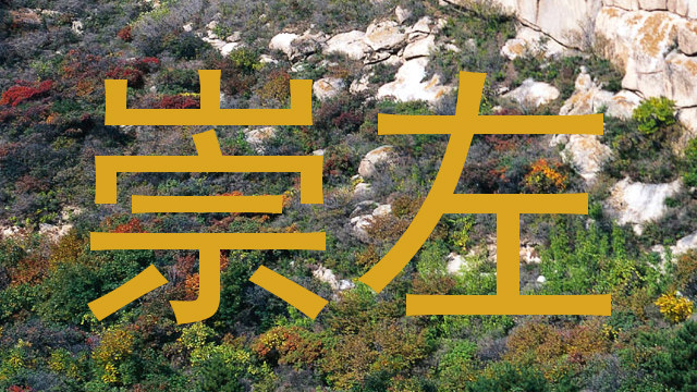 崇左