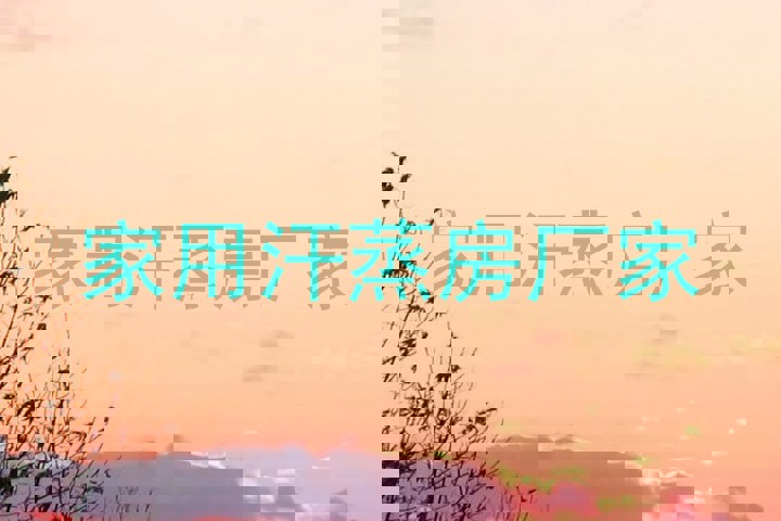 家用汗蒸房厂家