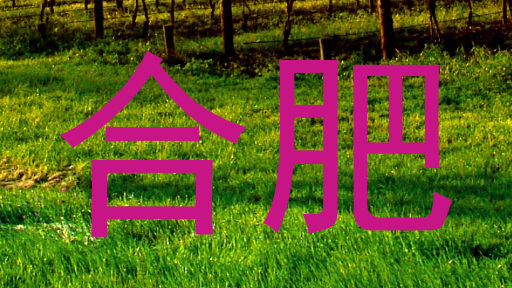 合肥