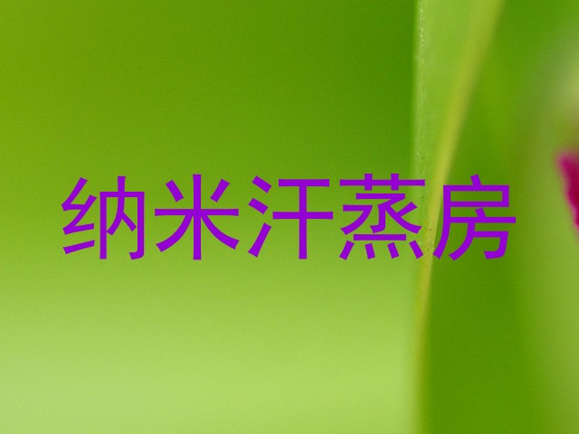 纳米汗蒸房