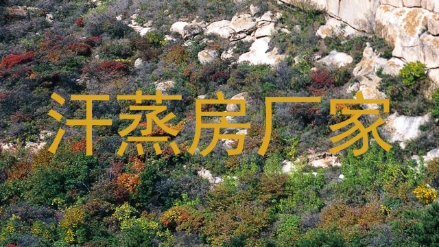 汗蒸房厂家