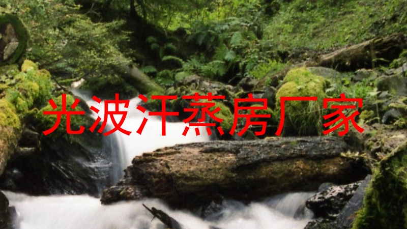 光波汗蒸房厂家