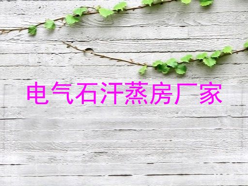 电气石汗蒸房厂家