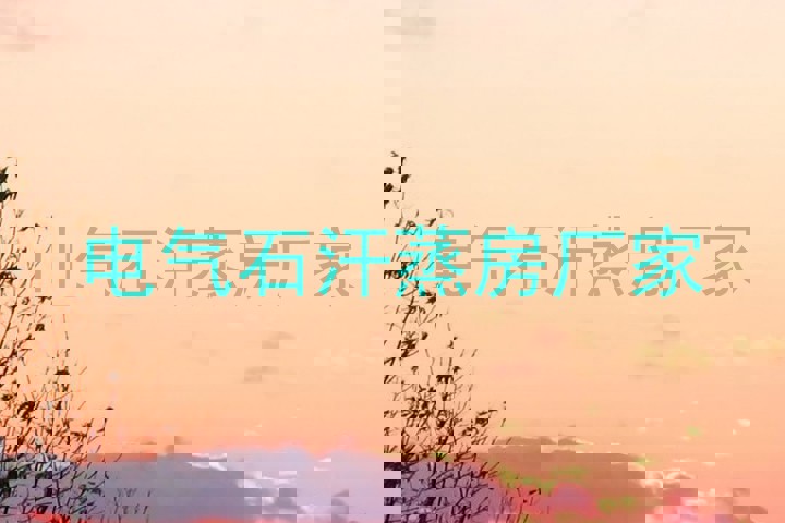 电气石汗蒸房厂家