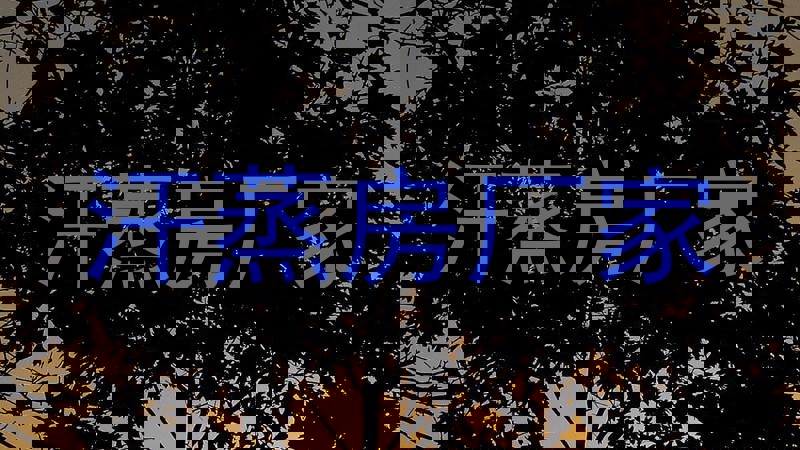 汗蒸房厂家