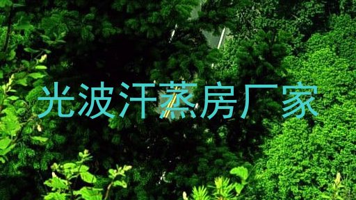 光波汗蒸房厂家