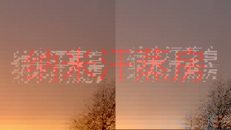 纳米汗蒸房
