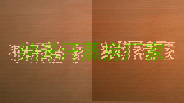 纳米汗蒸房厂家