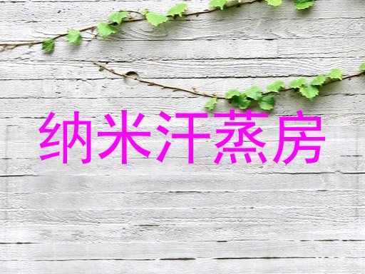 纳米汗蒸房