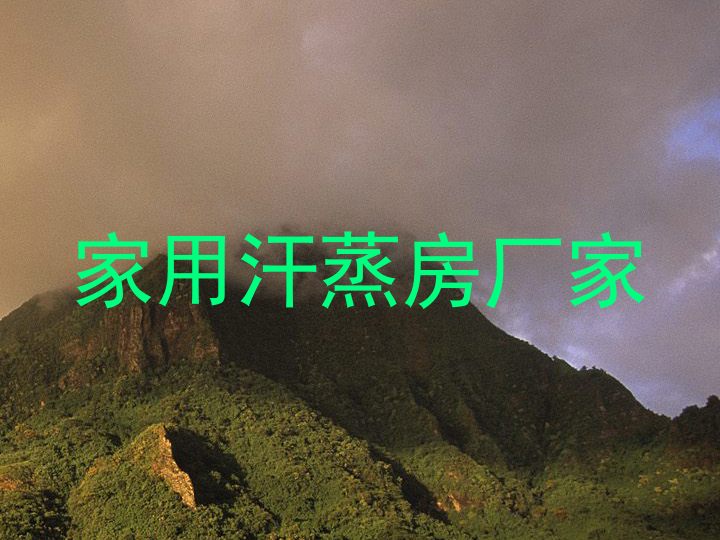 家用汗蒸房厂家