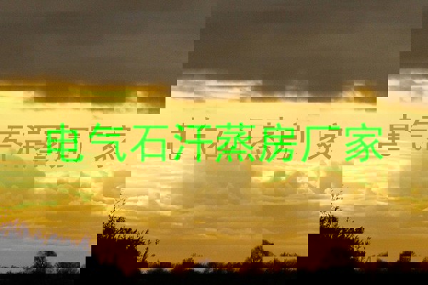 电气石汗蒸房厂家