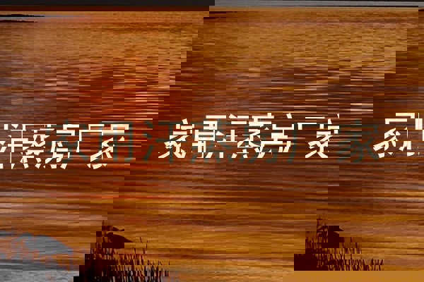 家用汗蒸房厂家