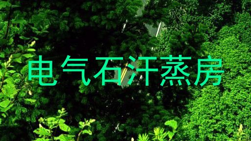 电气石汗蒸房