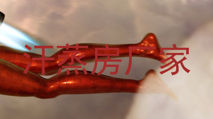 汗蒸房厂家