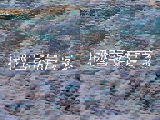 小型汗蒸房厂家