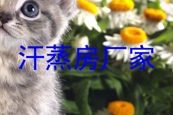 汗蒸房厂家
