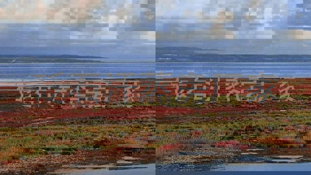 砭石汗蒸房厂家