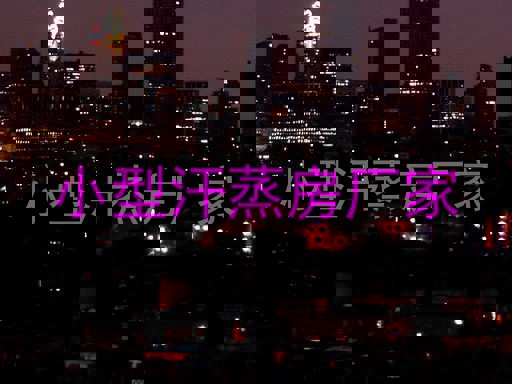 小型汗蒸房厂家