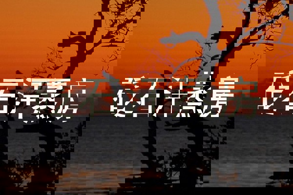 砭石汗蒸房