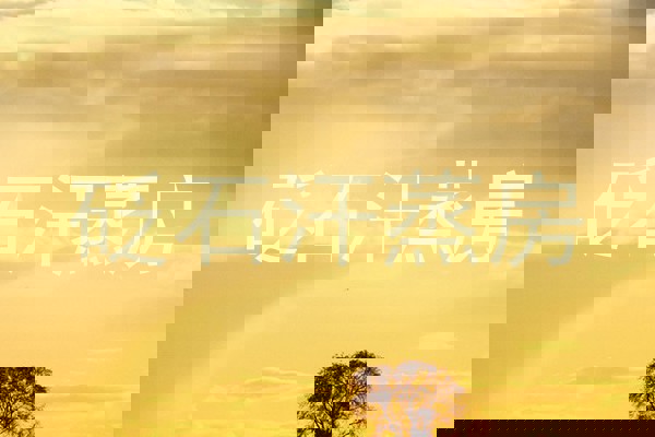 砭石汗蒸房