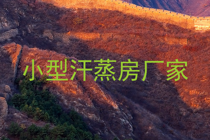 小型汗蒸房厂家