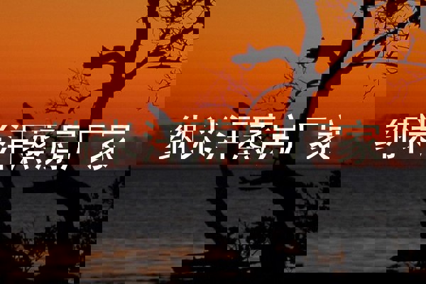 纳米汗蒸房厂家