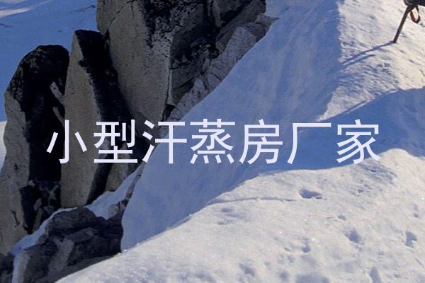小型汗蒸房厂家
