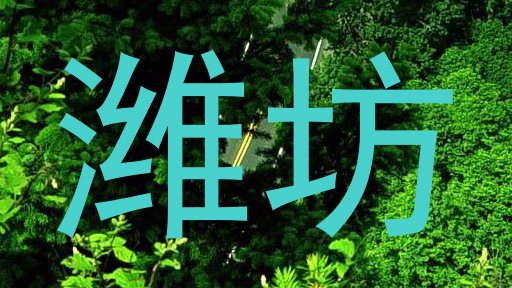 潍坊