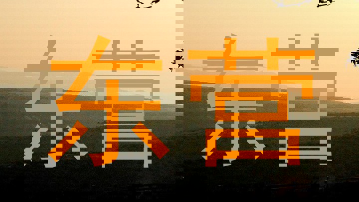 东营