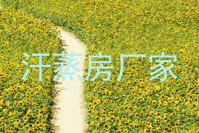 汗蒸房厂家