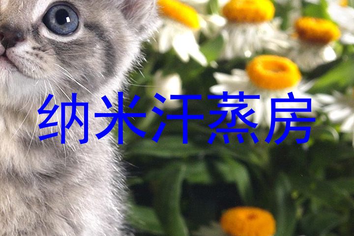 纳米汗蒸房