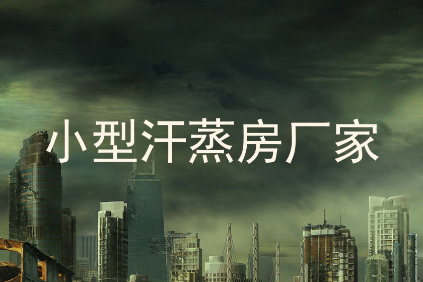 小型汗蒸房厂家